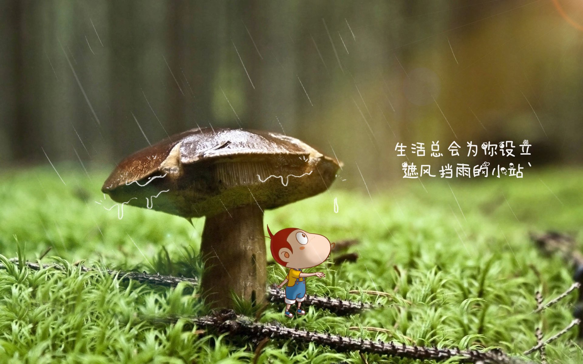 青训设备引进国际先进仿真系统，提升实战能力，青训模式