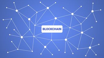 开云·体育官网APP下载-英超青训引入虚拟现实技术强化战术理解和实战演练，英超本土青训规则