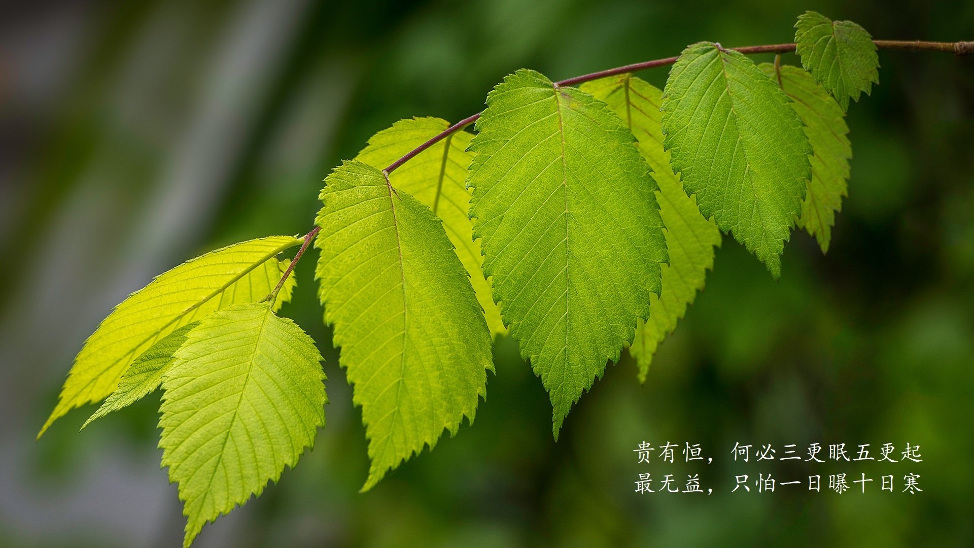 国际乒乓球赛事圆满落幕，精彩不断，国际乒乓球锦标赛