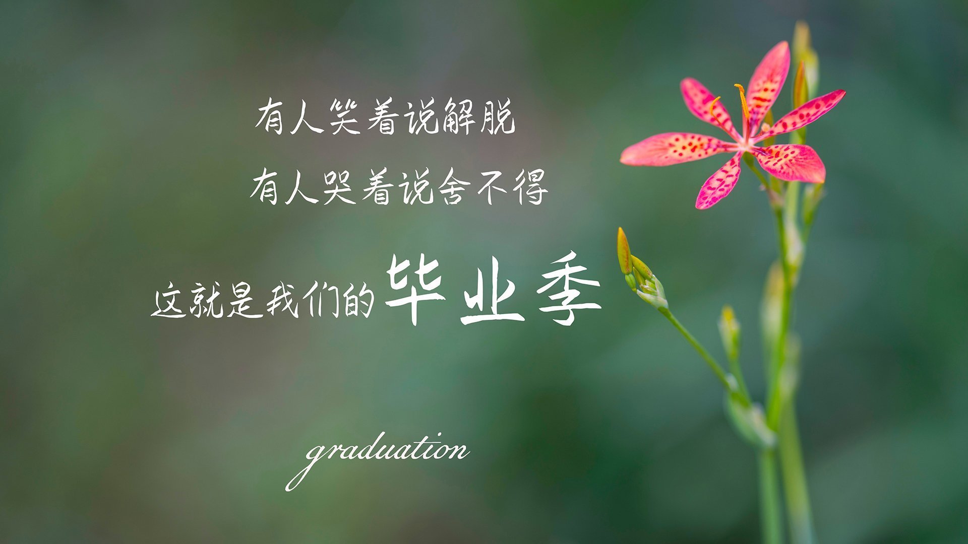 kaiyun官方入口登录-自由式滑雪项目增加心理素质训练内容，自由式滑雪项目增加心理素质训练内容是什么