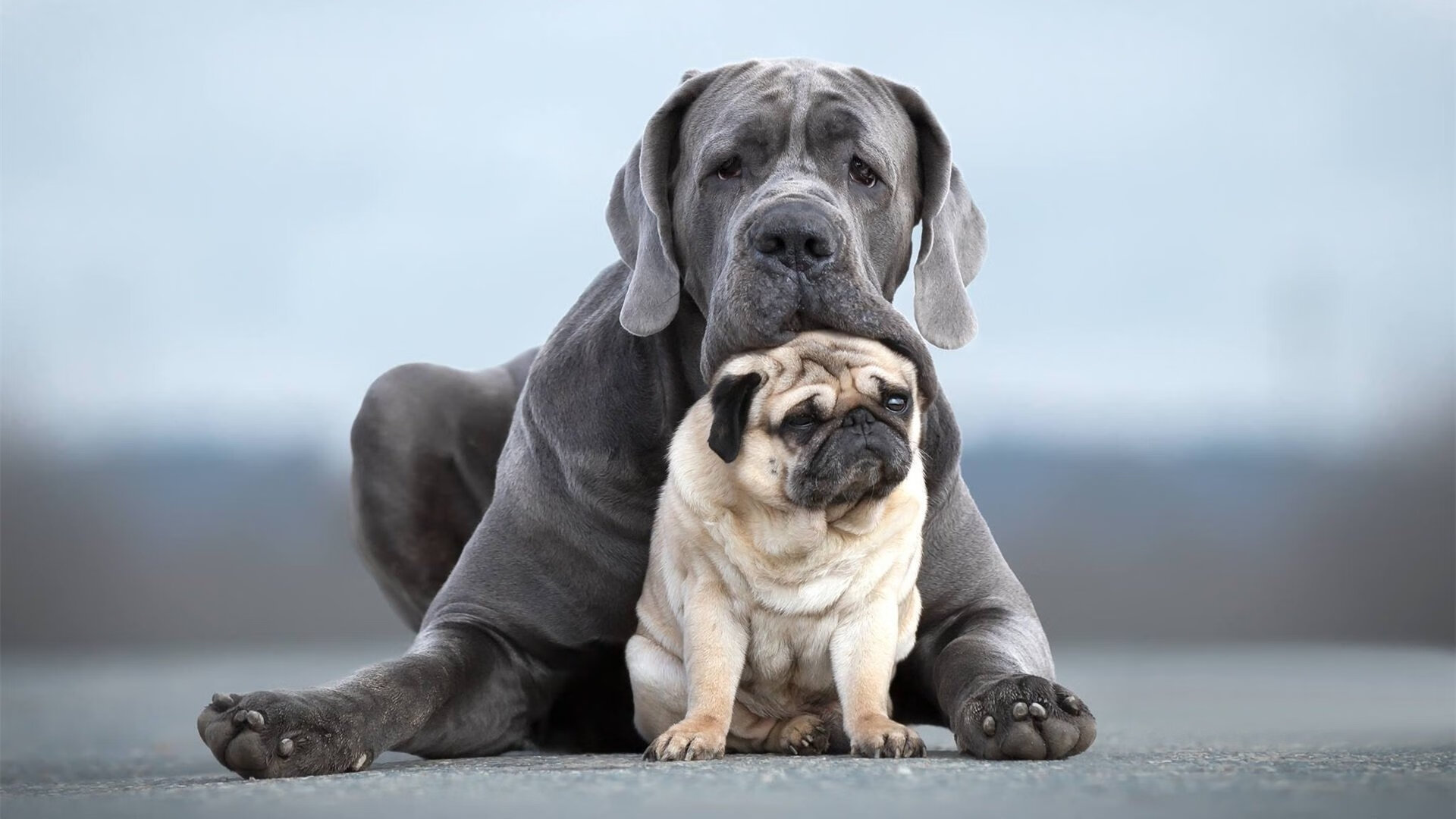 开云网页版-转身时间数据深度对比，转身的vlog