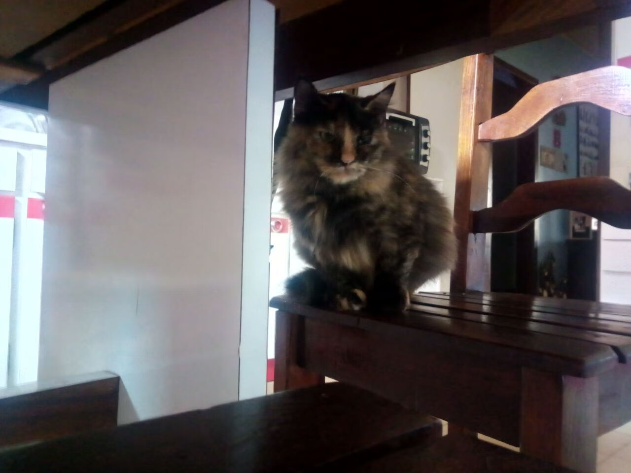 开云kaiyun-普里戈达用实力回应质疑，普里戈任