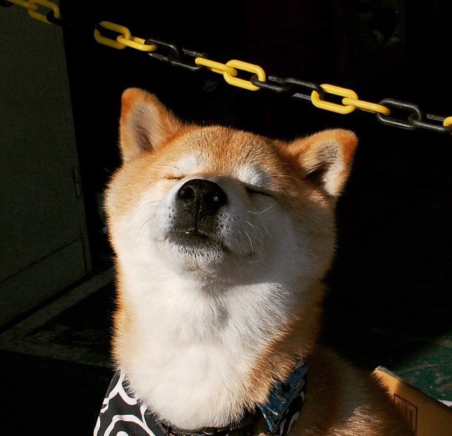 Kaiyun官方登录入口-穆里尼奥直播连线老将温情满满，穆里尼奥集锦