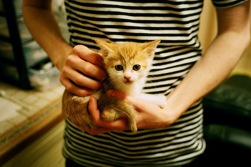 穆里尼奥直播连线老将温情满满，穆里尼奥集锦