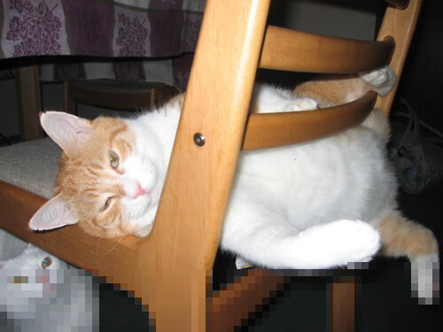 开云网站-职业联赛对违规行为零容忍建立黑名单制度