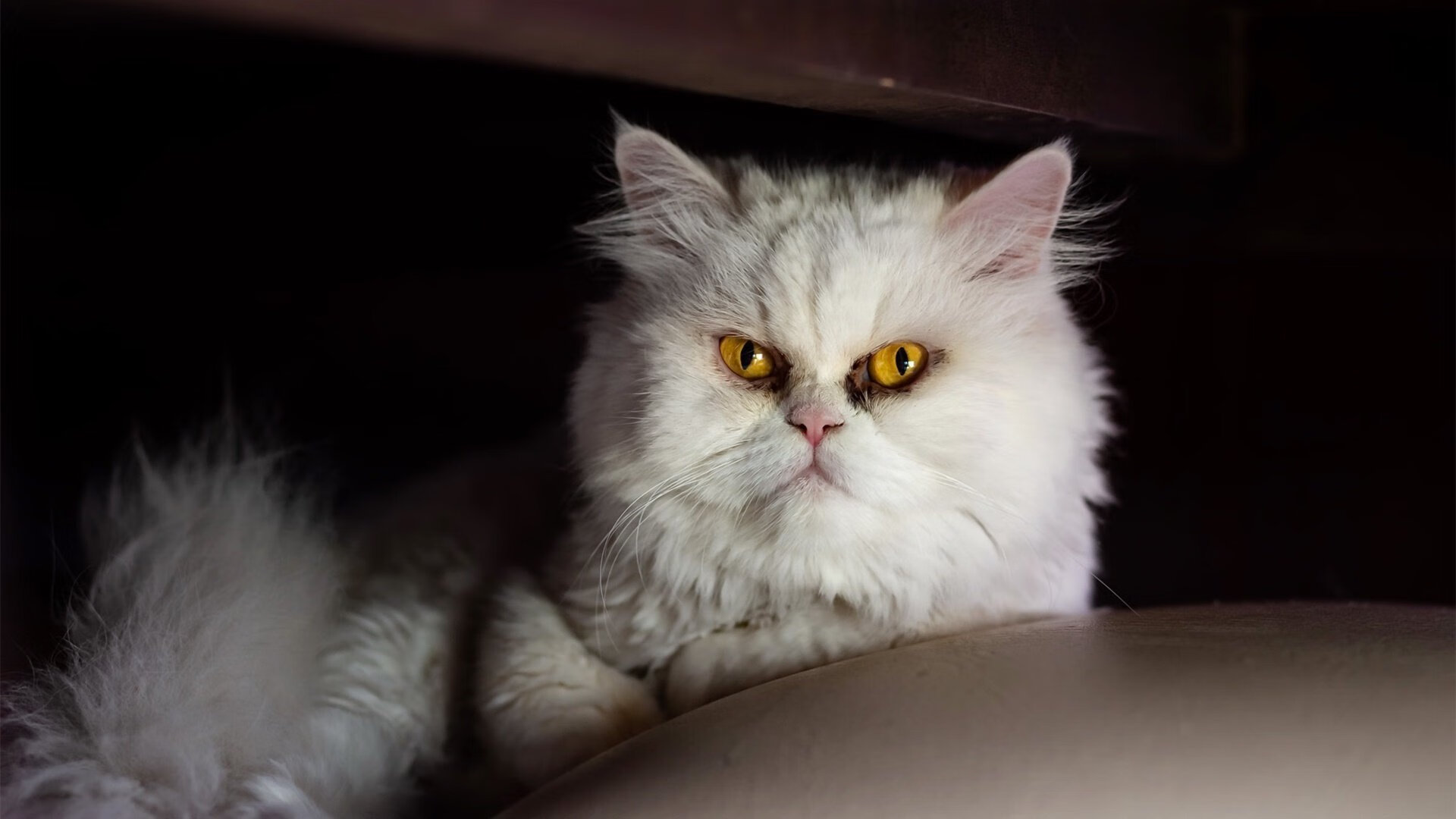 赛后热图分析揭示跑动距离变化与得失球之间存在强相关性，球员跑动距离数据