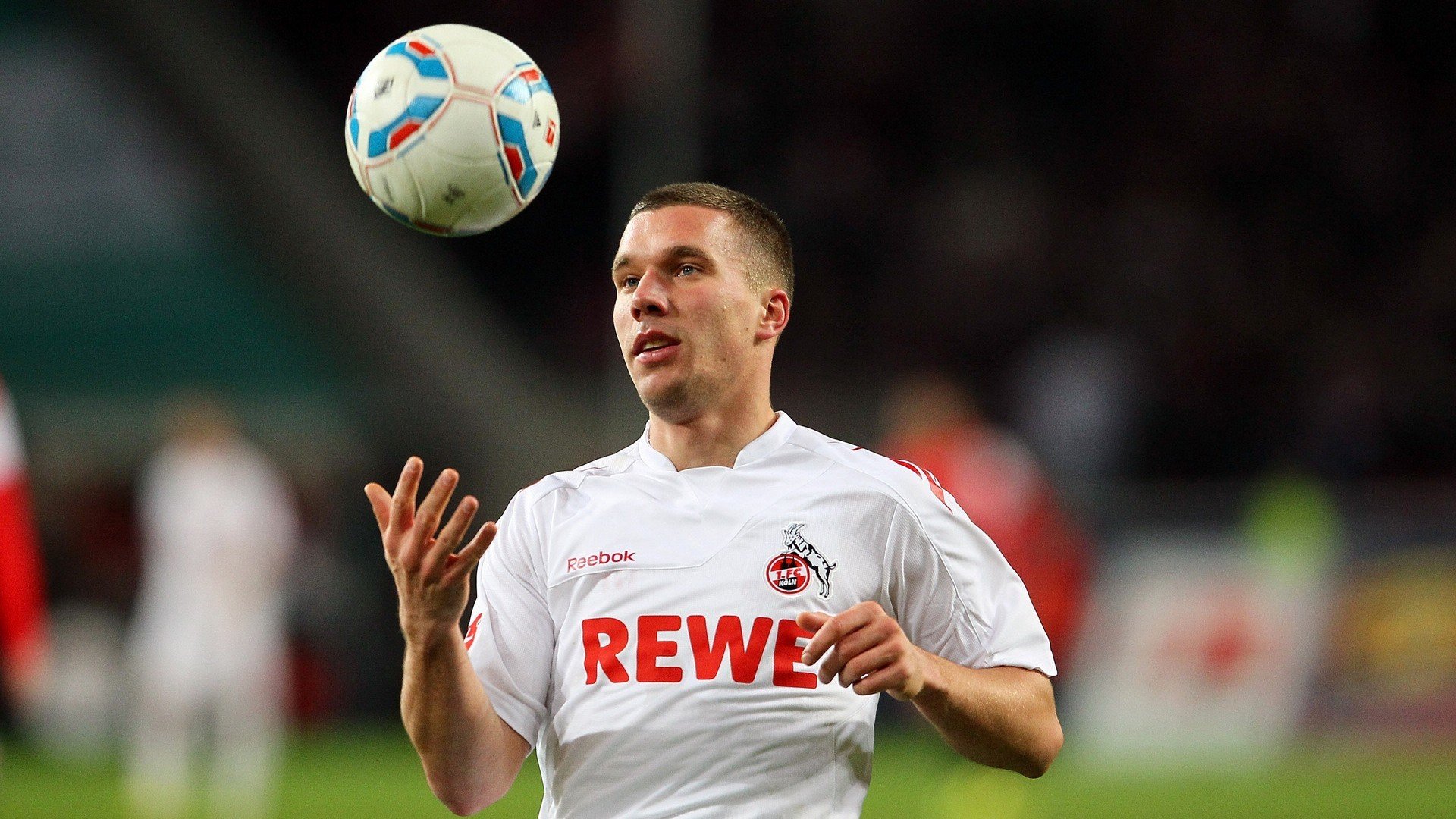 德国马术协会举办国际马术科技大会，推动行业技术交流与合作。